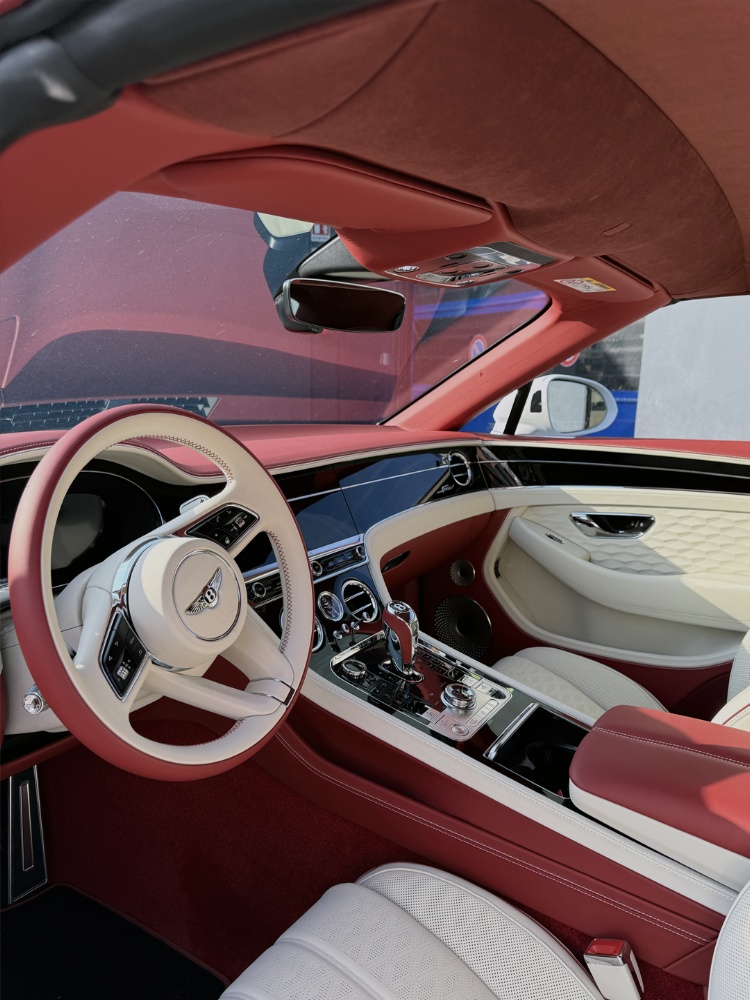 OD Service srl - Sicurezza: Bentley